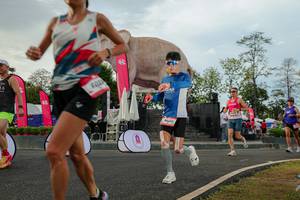 BIB: 
                            <button type="button" onclick="openModal(26528523)" class="btn btn-primary btn-sm float-right btn-popup" data-toggle="modal" data-target=".modal-high-quality">
                        <i class="fas fa-shopping-cart"></i> Add to Cart
                    </button>
                                            <button type="button" onclick="isThisMe(26528523, true)" class="btn btn-success btn-sm float-right btn-popup btn-isme hidden" data-toggle="tooltip" data-placement="bottom" title="นี่คือรูปของคุณใช่ไหม คลิกที่นี่เพื่อเอาเข้าอัลบั้ม">
                        <i class="fas fa-plus"></i> Add to album
                    </button>
                    <button type="button" onclick="isThisMe(26528523, false)" class="btn btn-warning btn-sm float-right btn-popup btn-isnotme hidden">
                        <i class="fas fa-ban"></i> Remove from album
                    </button>